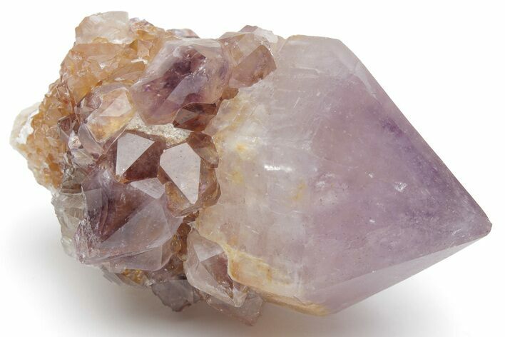 Cactus Quartz (Amethyst) Crystal - South Africa #220019